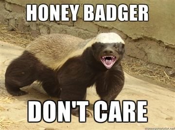 Honey badger dont care.jpg